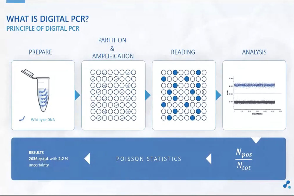 Why Multiplex? Advancing High-plex Digital PCR into the Mainstream