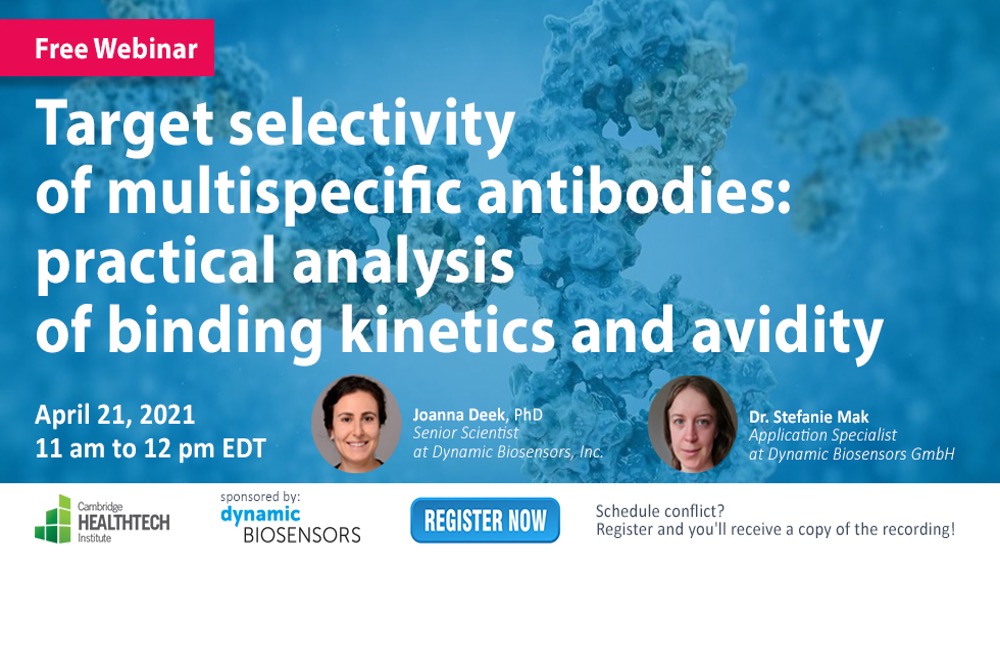Target Selectivity of Multispecific Antibodies: Practical Analysis of Binding Kinetics and Avidity
