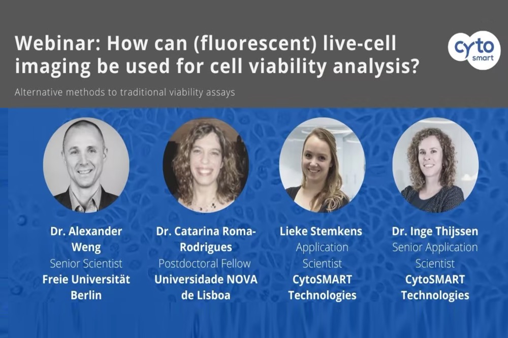 How Can (Fluorescent) Live Cell Imaging Be Used for Cell Viability Analysis?