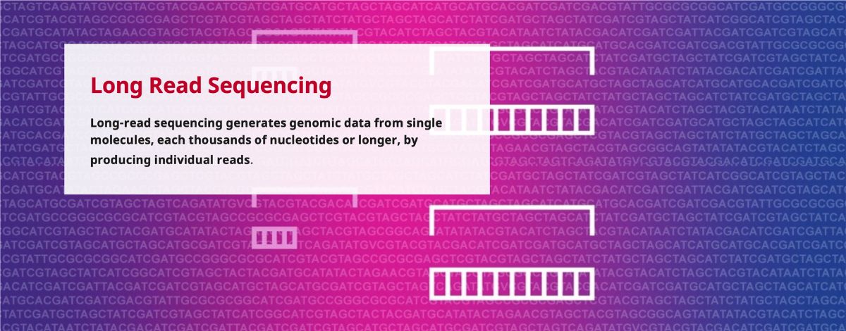 Long Read Sequencing