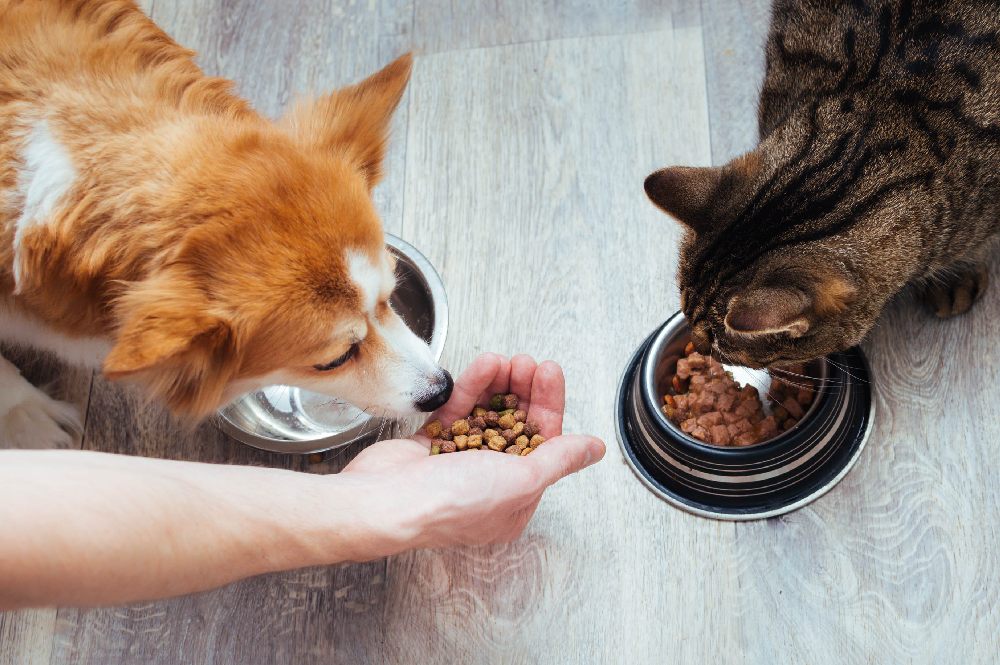 Enriching Lives Through Better and Safer Pet Nutrition 