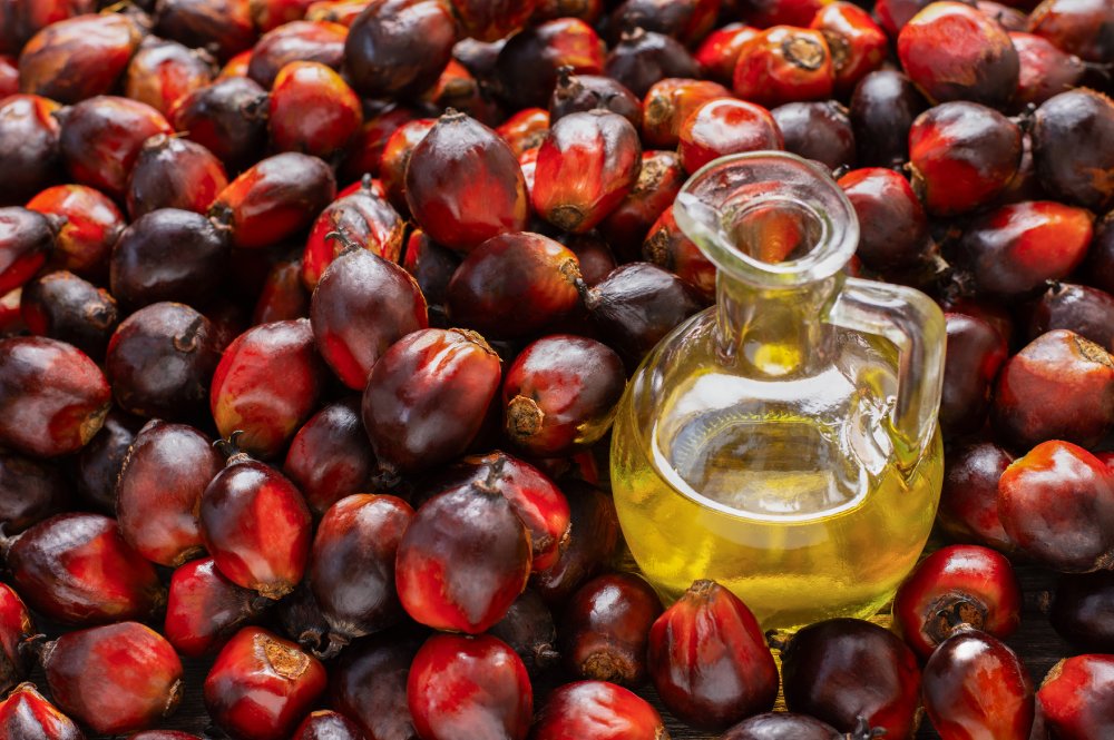 Enriching People’s Lives With More Sustainable Palm Oil Manufacturing