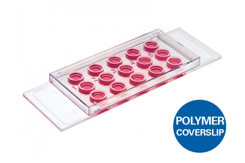 A µ-Slide used to investigate angiogenesis in tube formation assays. Also ideal for 3D cell culture and immunofluorescence staining.