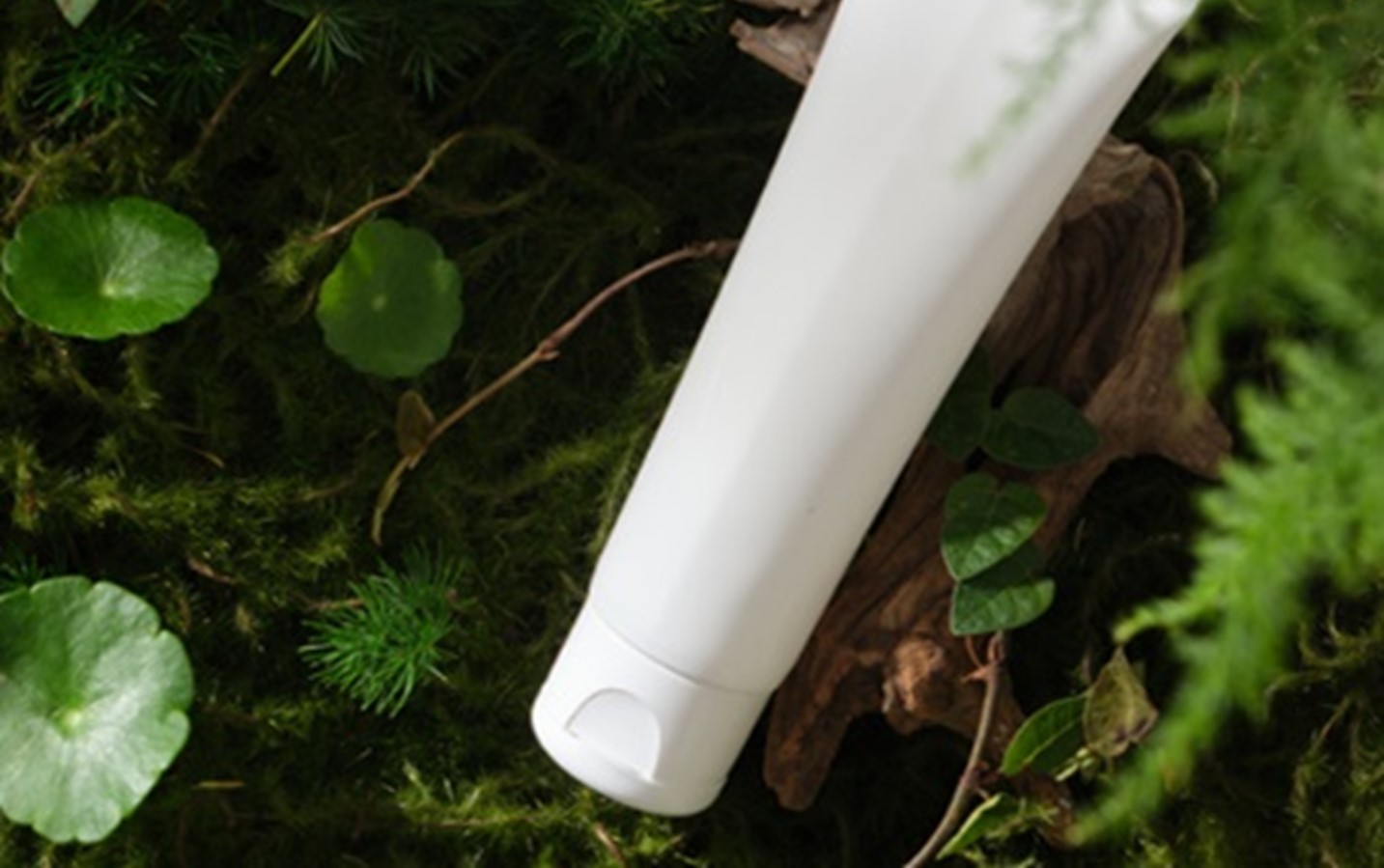 dksh-france-leads-the-way-in-microplastic-free-beauty-formulations-for-eu-2023-2055-compliance-pci-france-microplastic-free-formulations